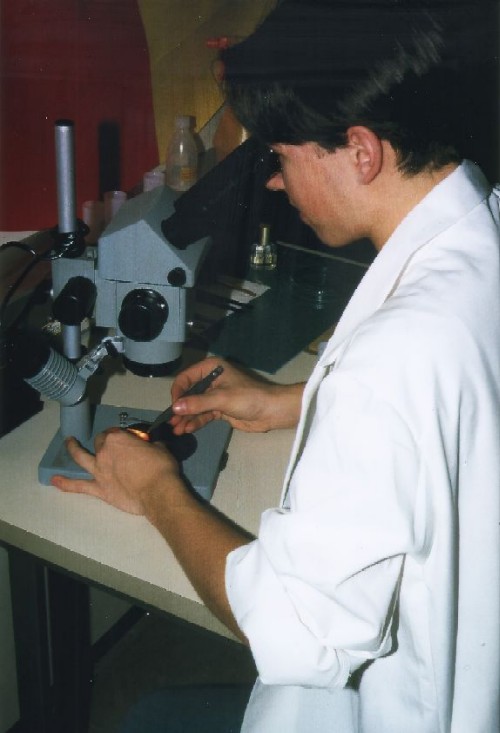 Foto