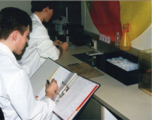 Foto